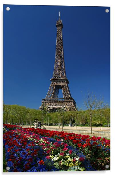 Eiffel Tower Acrylic by Thomas Schaeffer