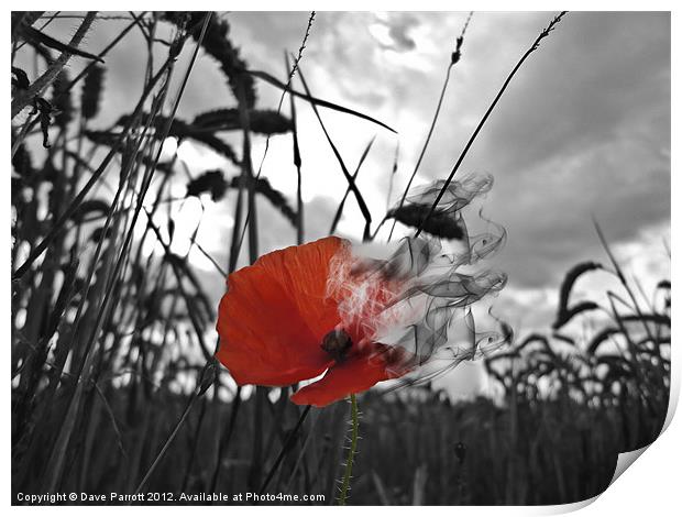 War Poppy - Burning Print by Daves Photography