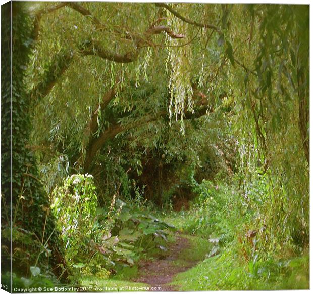 Secret pathway to where Canvas Print by Sue Bottomley