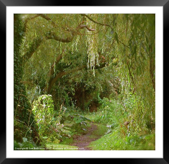 Secret pathway to where Framed Mounted Print by Sue Bottomley