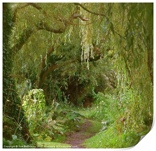 Secret pathway to where Print by Sue Bottomley