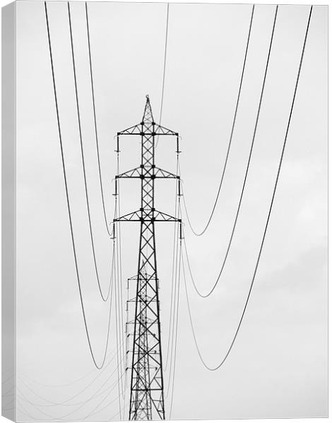 electricity Canvas Print by Jo Beerens