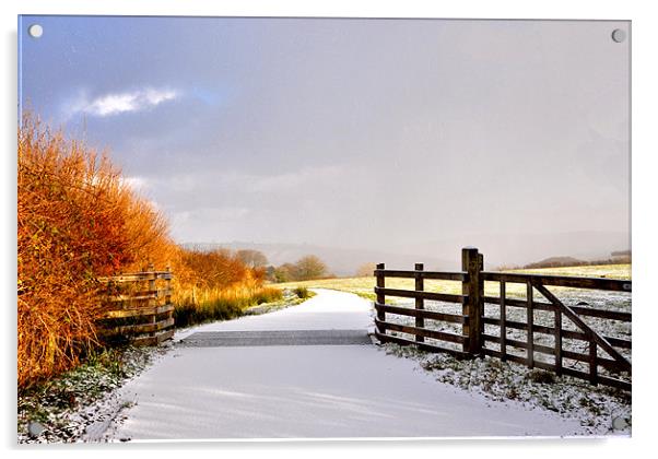 Exmoor in the Snow Acrylic by Debbie Metcalfe