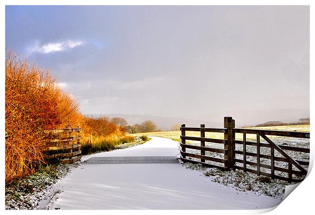 Exmoor in the Snow Print by Debbie Metcalfe