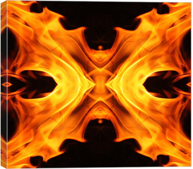 Abstract flames butterfly shape Canvas Print by Linda More