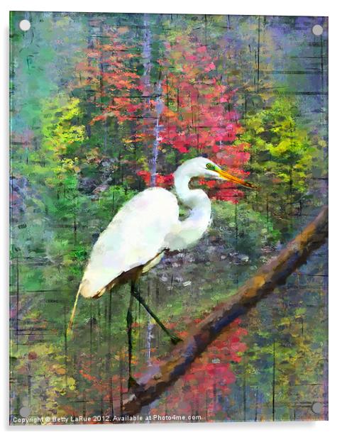 Great Egret Acrylic by Betty LaRue