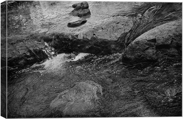 fresh water flowing along stones Canvas Print by Isabel Antonelli