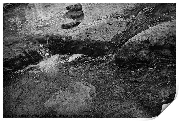 fresh water flowing along stones Print by Isabel Antonelli