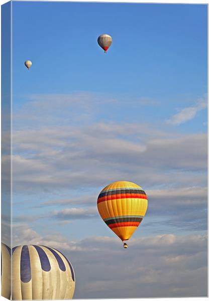Balloons drifting blue cloudy sky Canvas Print by Arfabita  