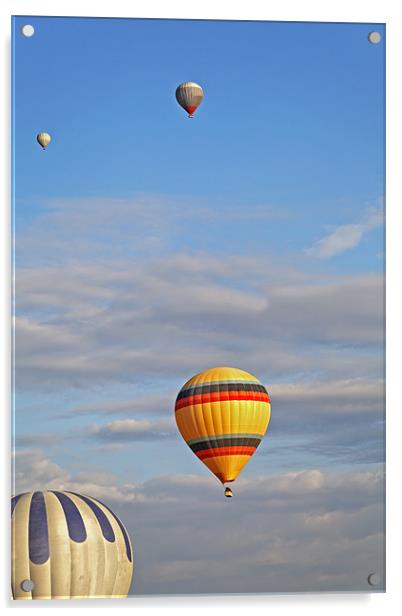 Balloons drifting blue cloudy sky Acrylic by Arfabita  