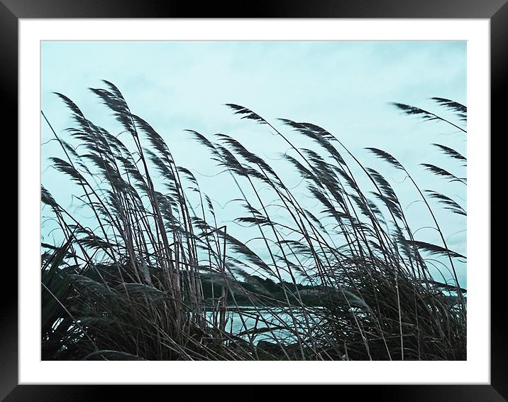 When The Wind Blows Framed Mounted Print by Noreen Linale