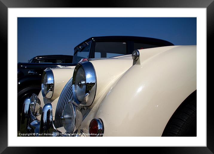 Classic Cool Cat Framed Mounted Print by Paul Holman Photography