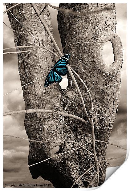 Butterfly Blue Print by Christine Lake