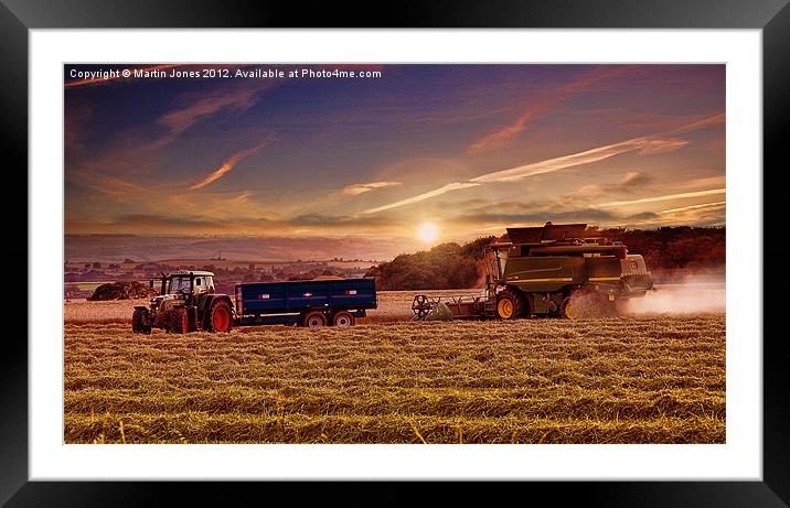 Harvest Gold Framed Mounted Print by K7 Photography