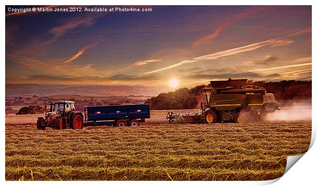 Harvest Gold Print by K7 Photography