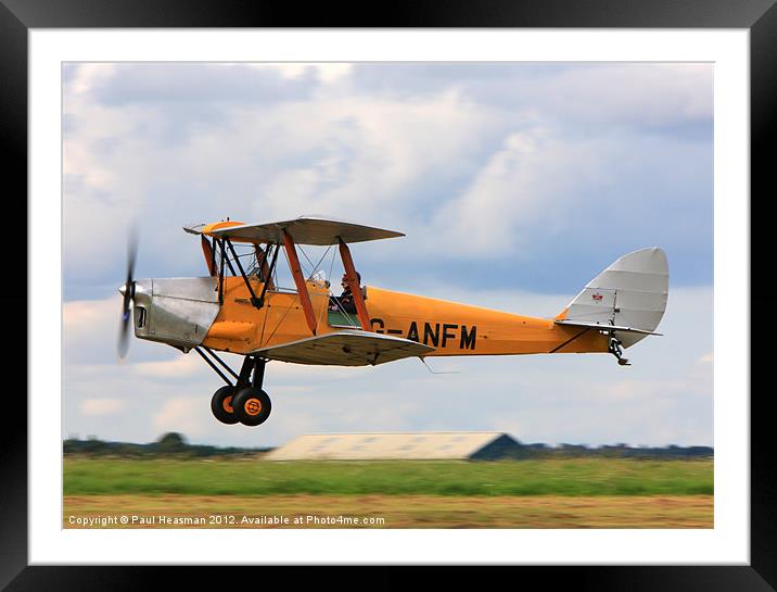 Tiger Moth Framed Mounted Print by P H