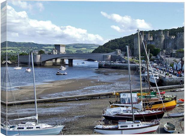 Conwy Harbour & Castle North Wales Canvas Print by philip clarke