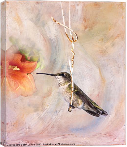 Swinger Canvas Print by Betty LaRue