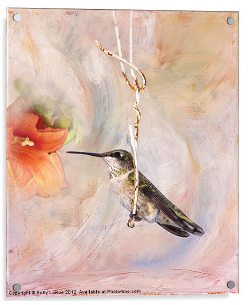 Swinger Acrylic by Betty LaRue