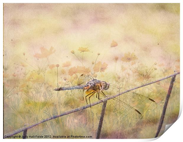 Dreamy Dragonfly Print by Judy Hall-Folde