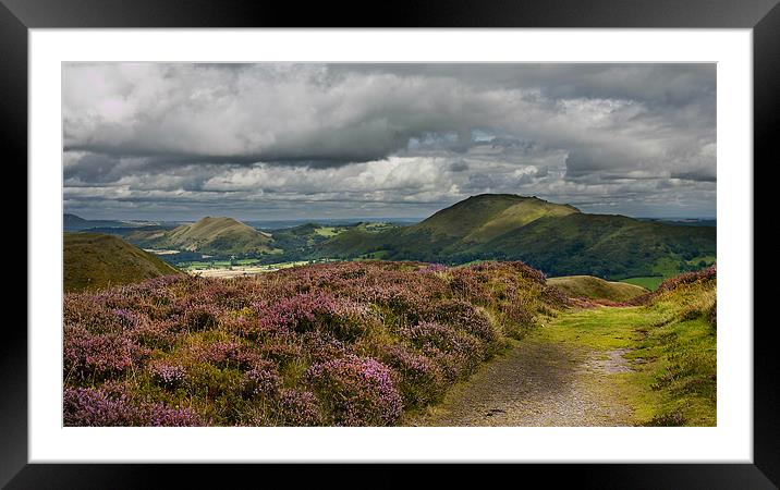Long Mynd Shropshire Framed Mounted Print by paul lewis