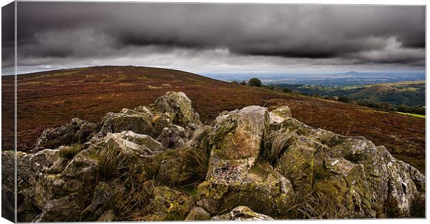 Stiperstones Shropshire Canvas Print by paul lewis