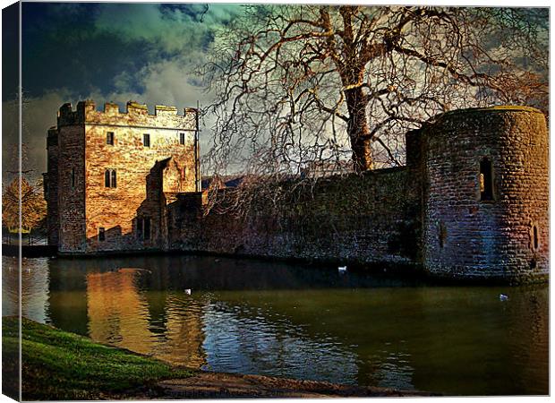 The Bishops Palace. Canvas Print by Susie Hawkins