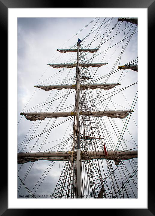 Ahoy there sailor. Framed Mounted Print by Lee Daly