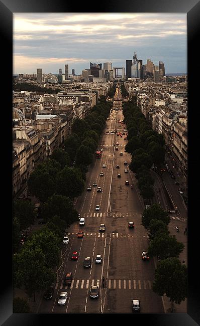 View Down Paris Street Framed Print by Liam Dobson