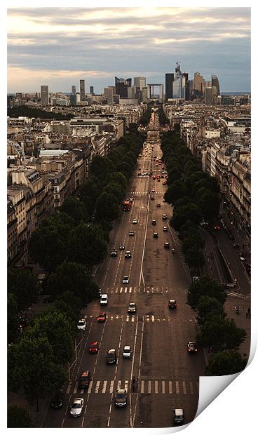 View Down Paris Street Print by Liam Dobson
