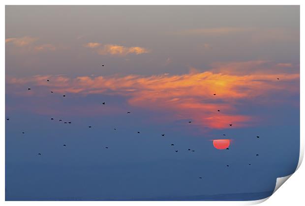 Sunset with birds Print by Cristian Mihaila