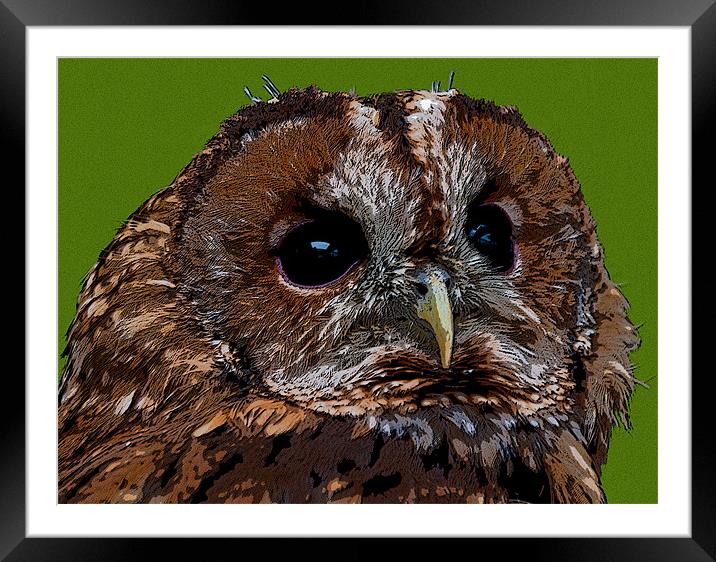 OWLY Framed Mounted Print by CATSPAWS 