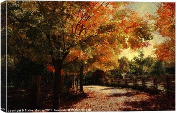 Autumn Country Road Canvas Print by Elaine Manley