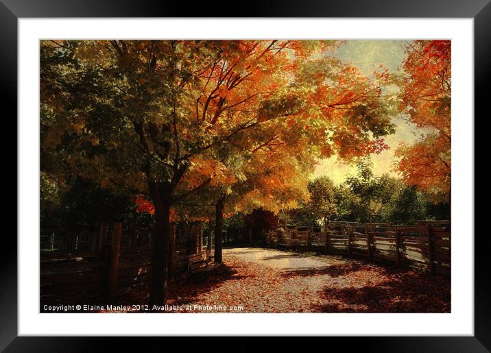 Autumn Country Road Framed Mounted Print by Elaine Manley