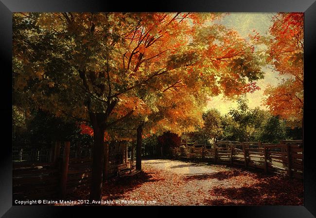 Autumn Country Road Framed Print by Elaine Manley