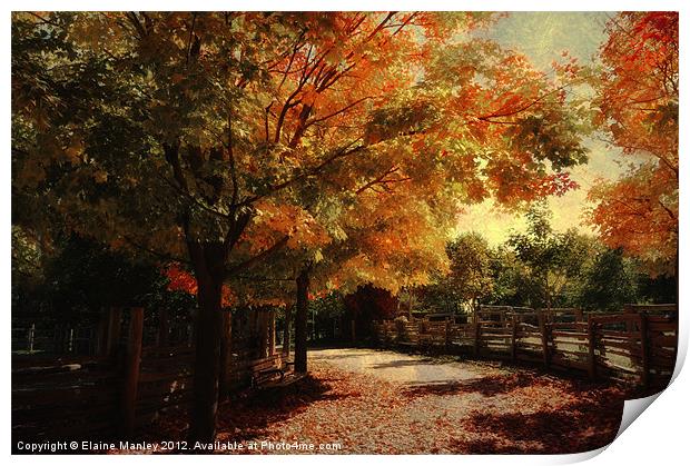 Autumn Country Road Print by Elaine Manley
