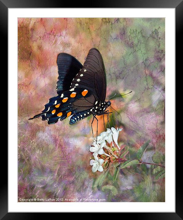 One Day in Spring Framed Mounted Print by Betty LaRue