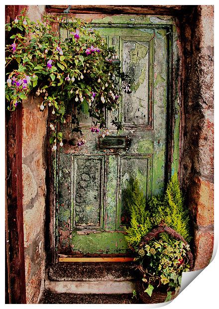 Green Door, Virgin Street, St Ives, Cornwall Print by Brian Pierce