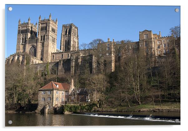 Durham Cathedral Acrylic by Oliver Porter