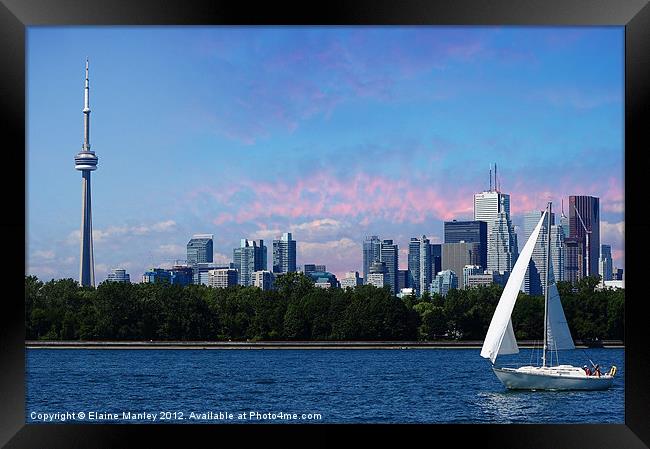 Toronto Sail By Framed Print by Elaine Manley