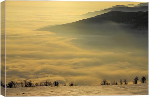 Above the clouds Canvas Print by Cristian Mihaila