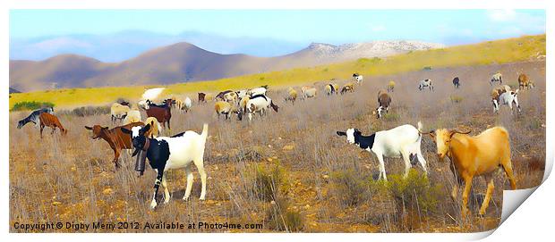 Goats in a landscape Print by Digby Merry