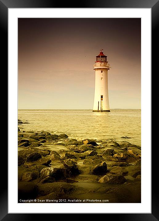 Standing Tall Framed Mounted Print by Sean Wareing