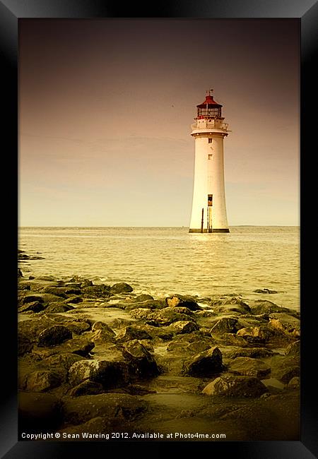 Standing Tall Framed Print by Sean Wareing