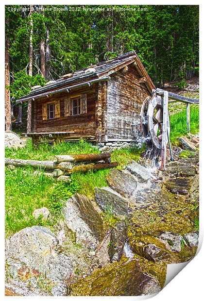 Mountain forest house Print by Ankor Light