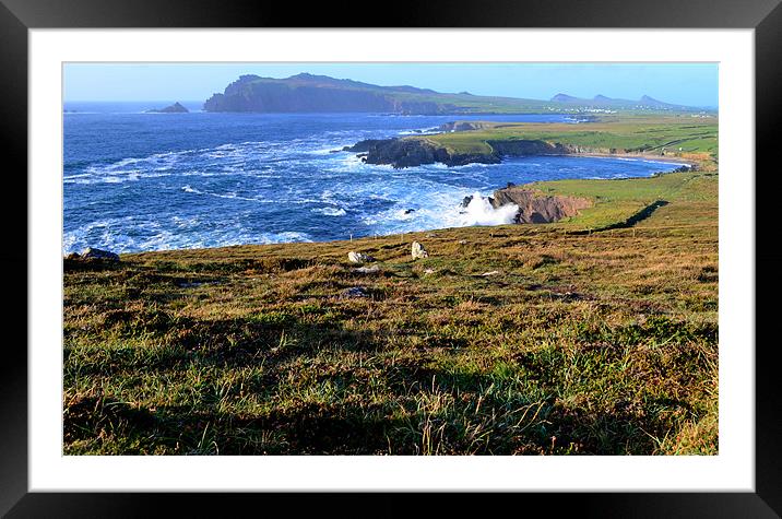 View of clogher beach and the three sisters Framed Mounted Print by barbara walsh
