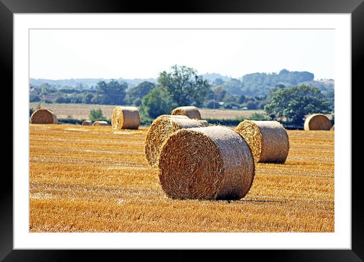 Hay Bales Framed Mounted Print by Tony Murtagh
