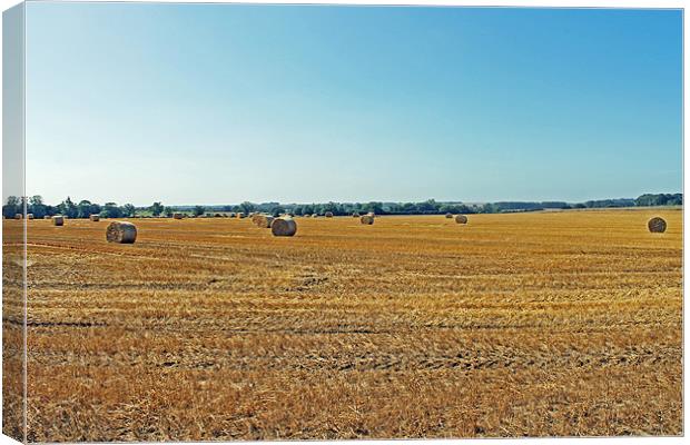 Autumn Fields Canvas Print by Tony Murtagh