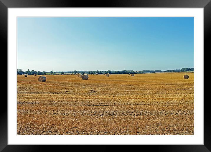 Autumn Fields Framed Mounted Print by Tony Murtagh