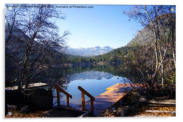 Peaceful Lake Acrylic by Debbie Metcalfe